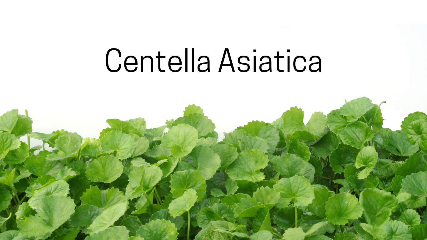 Can Centella Asiatica (Cica) help soothe sensitive and inflamed skin? bentica.